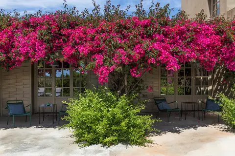 Villadorata Country Resort in Noto, foto 24
