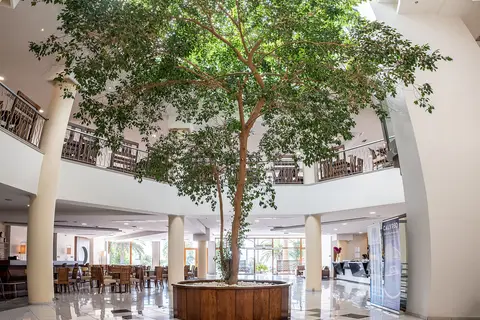 Aristoteles Holiday Resort & Spa in Ουρανούπολη — foto 27