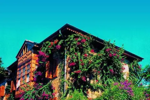 Begonville Pansiyon in Manavgat — foto 24