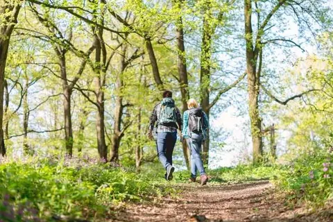 Hotel Ter Heide foto 20