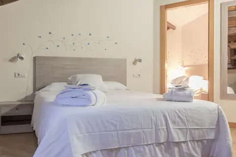 Hotel Balneario Río Pambre in Palas de Rei — foto 11