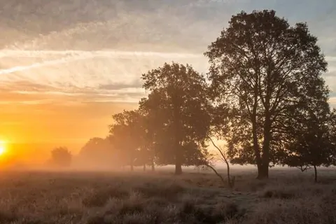 Wellnesshotel Spabron foto 29