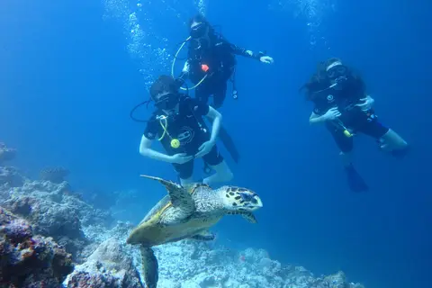 Furaveri Maldives in Raa Atoll — foto 21