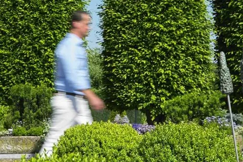 Romantik Parkhotel het Gulpdal foto 12