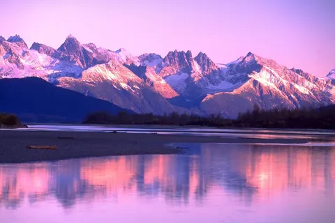 14 dgn Cruise & Tour Alaska Nieuw Amsterdam foto 4