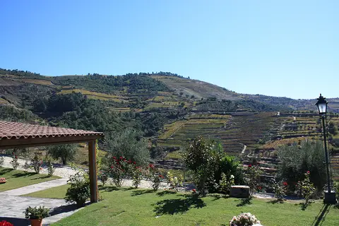 Hotel Quinta do Silval in Alijó, foto 16