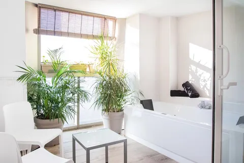 TUI TIME TO SMILE Coccoloba foto 4