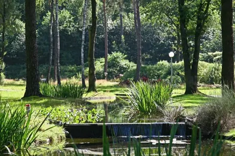 Bospark Markelo foto 11