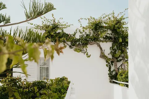Mr & Mrs White Paros in Naoussa, foto 24