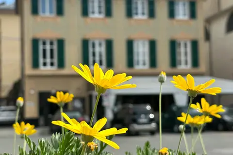 Dell'Orto in Chiavari, foto 18