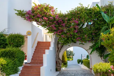 Mastichari Bay Hotel & Family Suites in Μαστιχάρι — foto 20