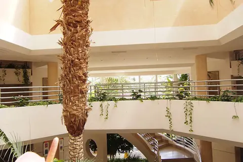Hotel Zafiro Palmanova in Palmanova — foto 21