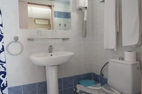 Koala in Kos-Stad — foto 17