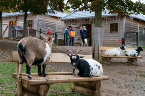 Center Parcs Hochsauerland foto 37