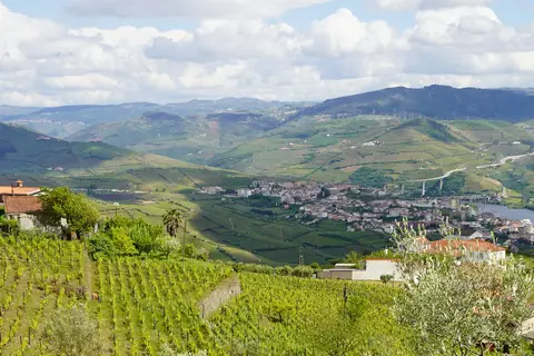 Quinta de Raj in Peso da Régua — foto 21