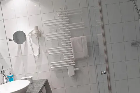 Hotel Alpina Parpan foto 16