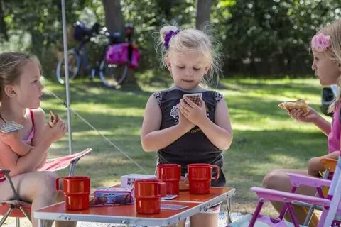 Oostappen Vakantiepark Arnhem foto 13