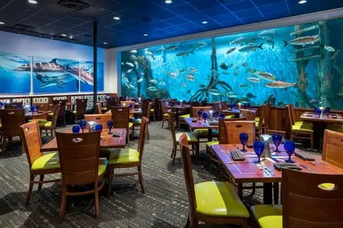 Tradewinds Island Grand Resort in Saint Pete Beach — foto 9