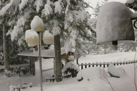 Orso Bianco in Pescasseroli