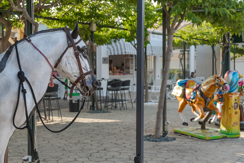Caretta Beach Hotel & Waterpark foto 16
