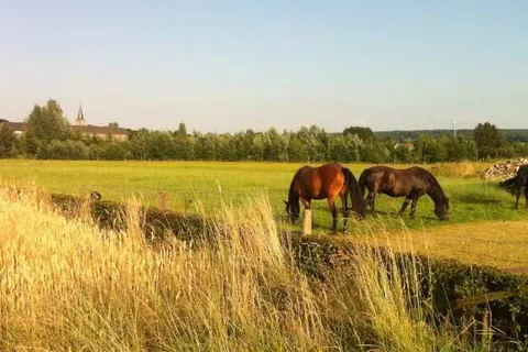 Hotel de Korenwolf foto 21