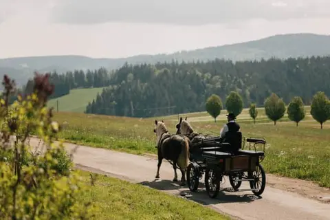 Der Hirschen in St. Märgen — foto 12