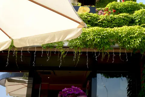 Best Western Hotel Corsi in Rome, foto 16