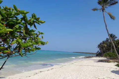 Reef & Beach Resort in Jambiani — foto 11