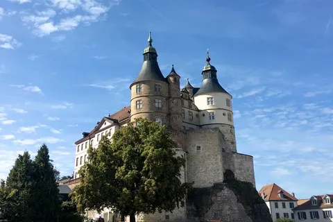 Camping Du Bois De Reveuge foto 36