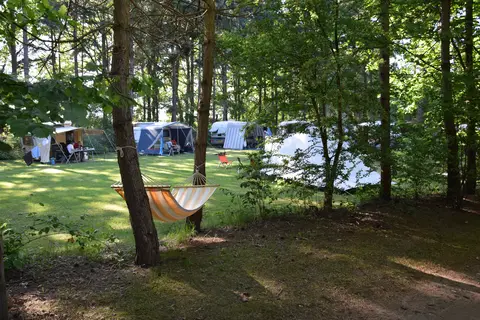 Horstmannsbos in Gasselte — foto 5