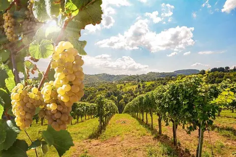 Montebelli Agriturismo & Country Hotel in Gavorrano — foto 5