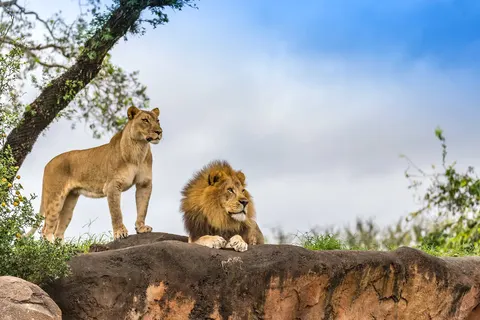 Zuid-Afrika in stijl foto 2