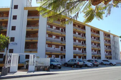 Apartamentos Los Tilos in San Bartolomé de Tirajana — foto 2