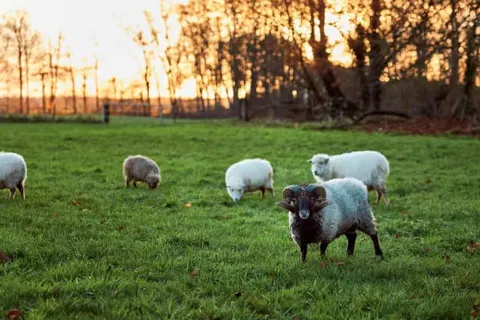 Hotel Landgoed Ehzerwold Almen foto 23