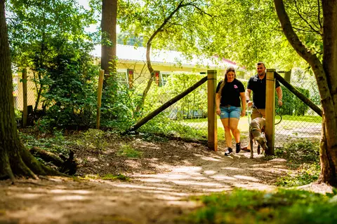 De Luttenberg in Luttenberg — foto 35