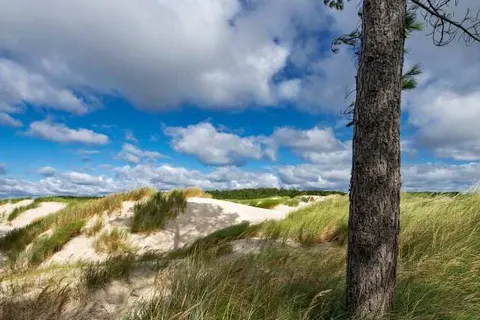 Vakantiepark Schoorlse Duinen foto 14