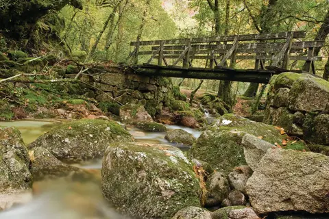 Prachtig binnenland van Noord-Portugal in Martingança Gare — foto 19