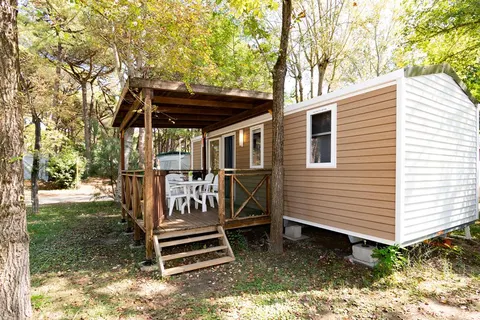 Spina Family Collection foto 5