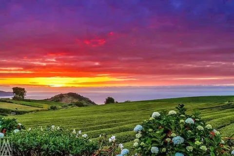 Fly drive Azoren foto 3