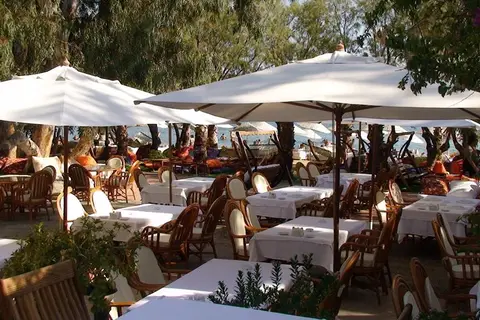 Okaliptus Otel in Bodrum — foto 9