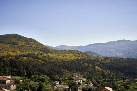 The Vinea Collection Hotel in Ceivães e Badim, foto 13