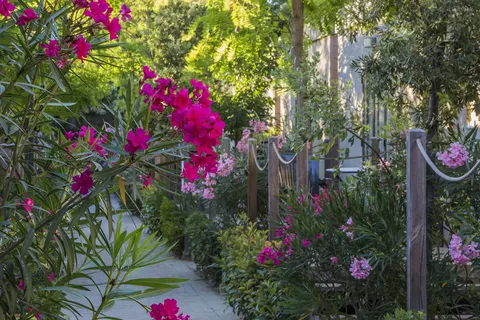 Hu Roma Camping In Town foto 16