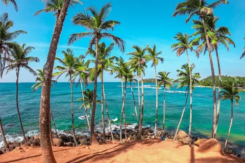 Discover Authentic Sri Lanka foto 3