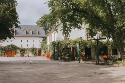 Hotel und Weingut Karlsmühle foto 19