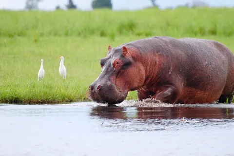 Perfect Match Namibia and Botswana foto 4