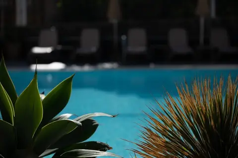 Apartamentos El Palmar in San Bartolomé de Tirajana — foto 15