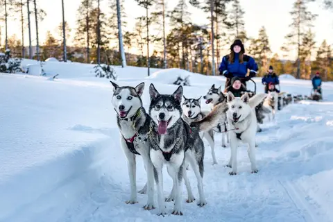 8 daagse excursiereis Passion for Lapland in Inari — foto 5