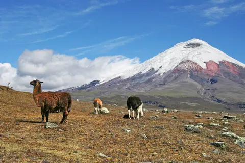 An Exploration of Ecuador in Otavalo — foto 4
