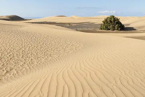HD Parque Cristóbal Gran Canaria in San Bartolomé de Tirajana — foto 16