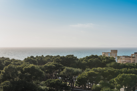 Iberostar Selection Llaut Palma - adults only foto 26